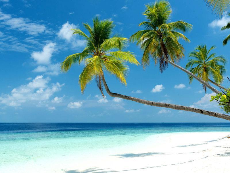 Mercure Maldives Kooddoo Adults-Only Resort - 35 Percent Off Return Domestic Transfers For Two Adults Until September Viligili Екстер'єр фото